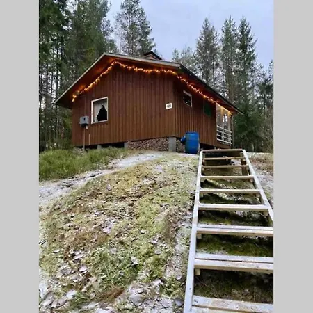 Retro Forest Cabin